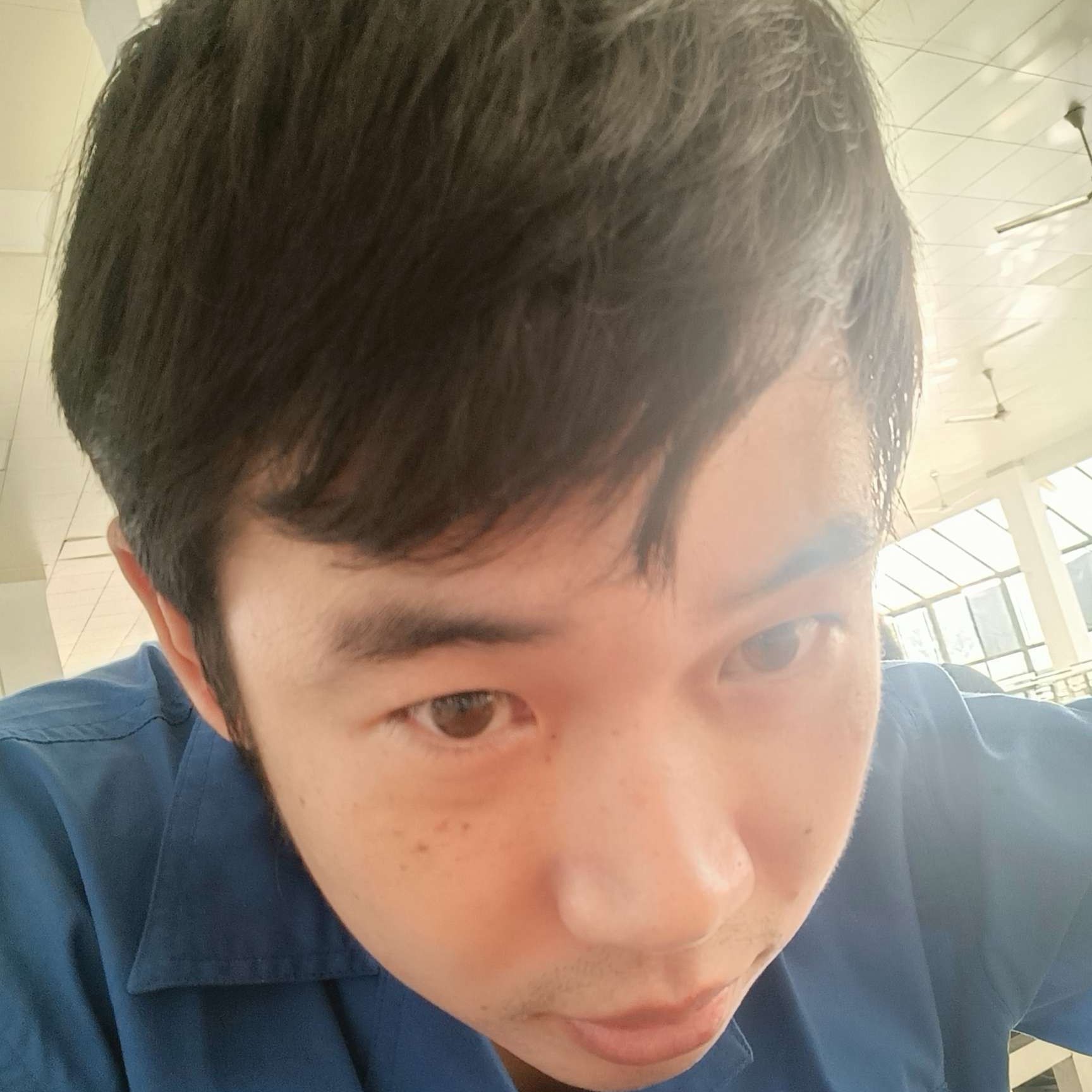 感动用大碗的照片