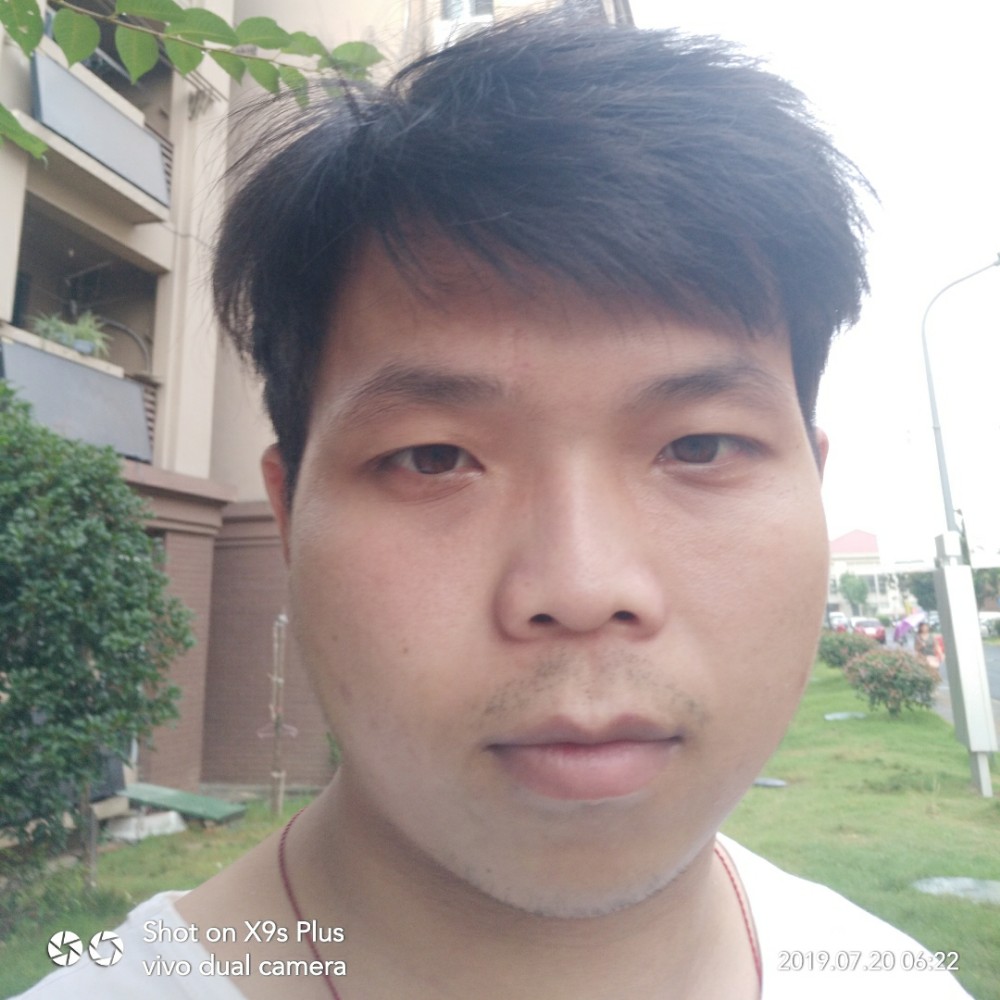 石头倾心神勇的照片