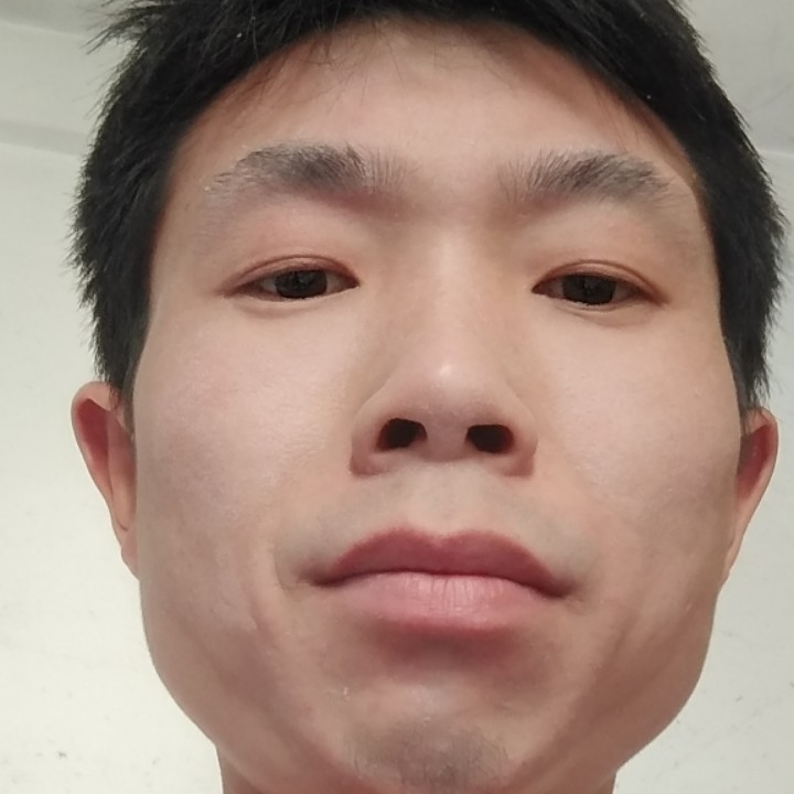 小松鼠闻愤怒的照片