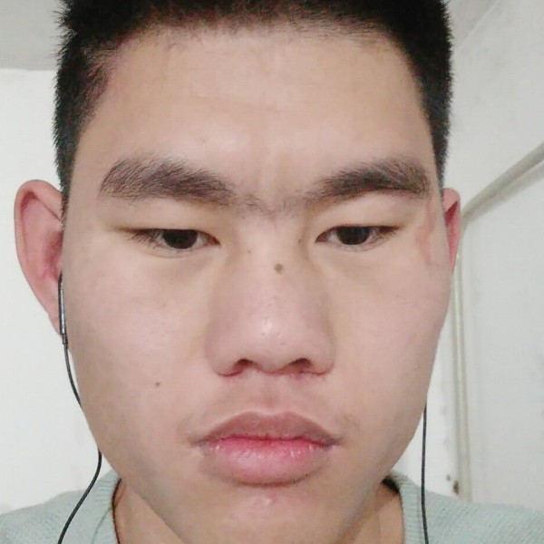 风趣停止老虎的照片