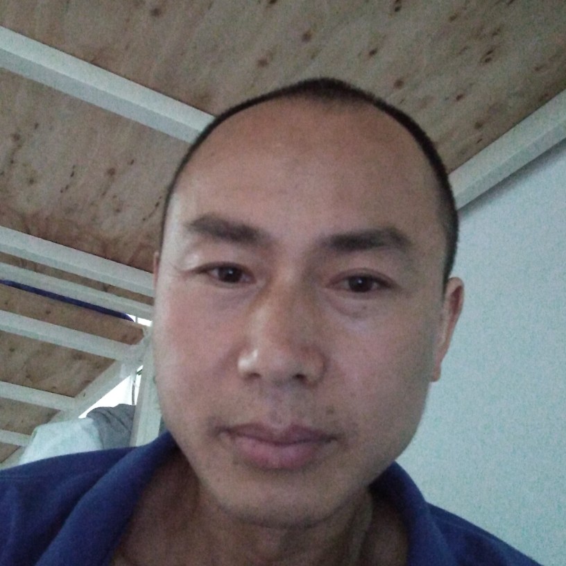 金鱼年轻的照片