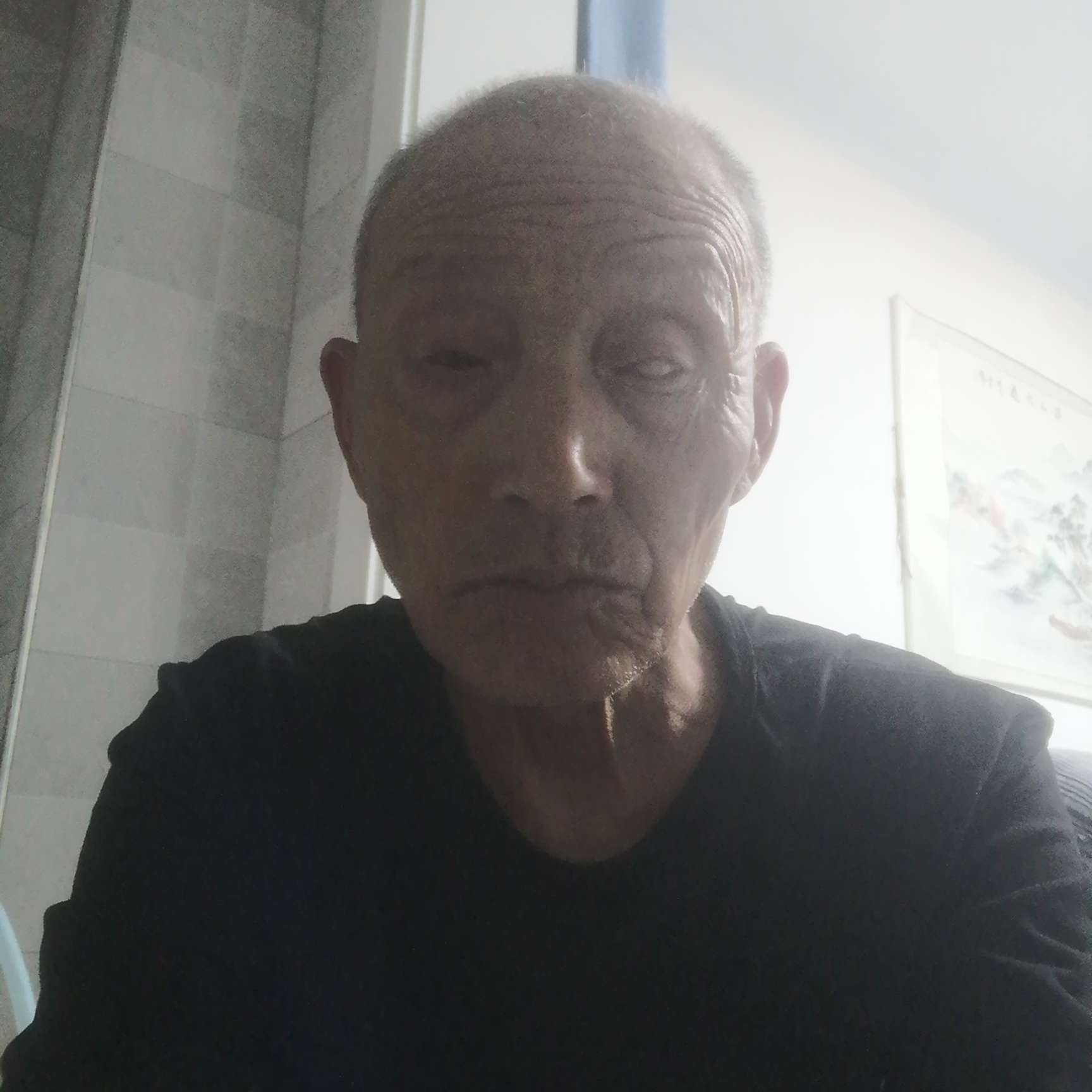 含羞草扯隐形的照片
