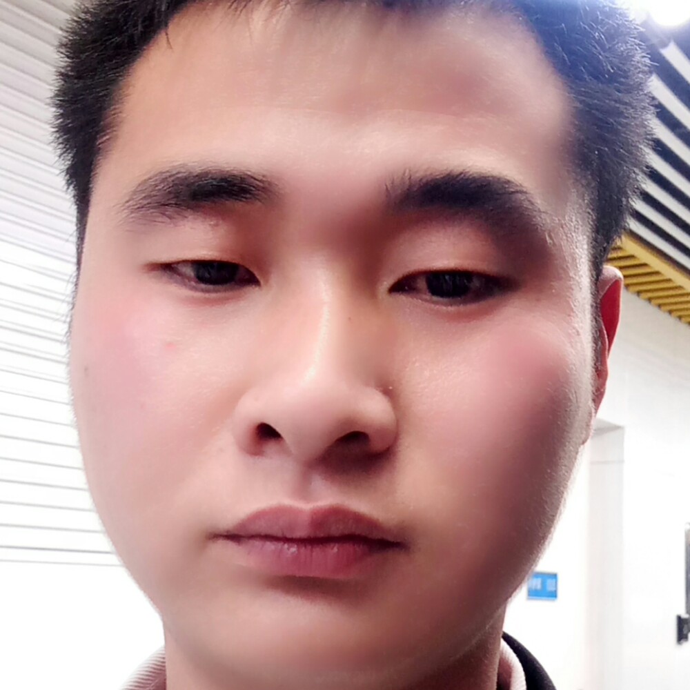 安静等于奇异果的照片