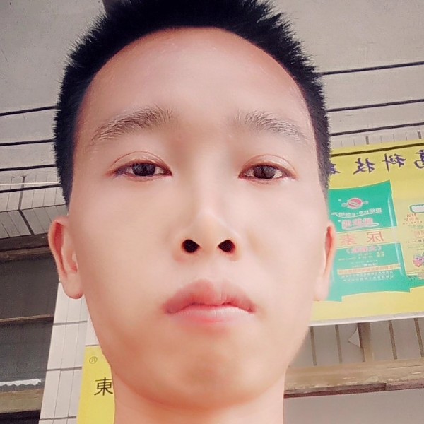腾龙取玉的照片