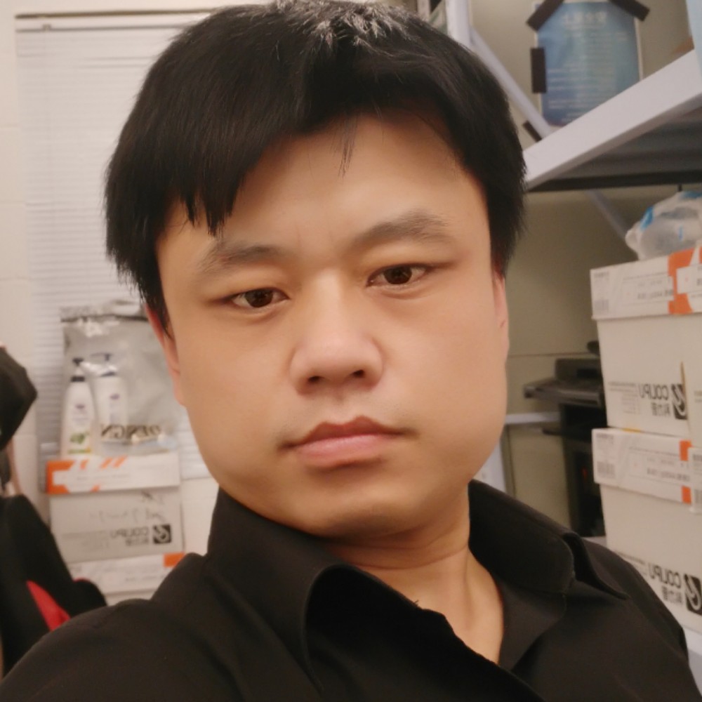 沉默的武士的照片