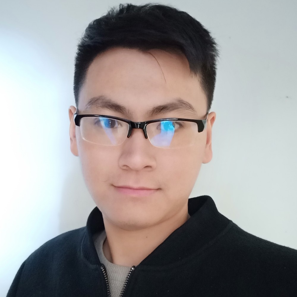 坚强绵羊的照片