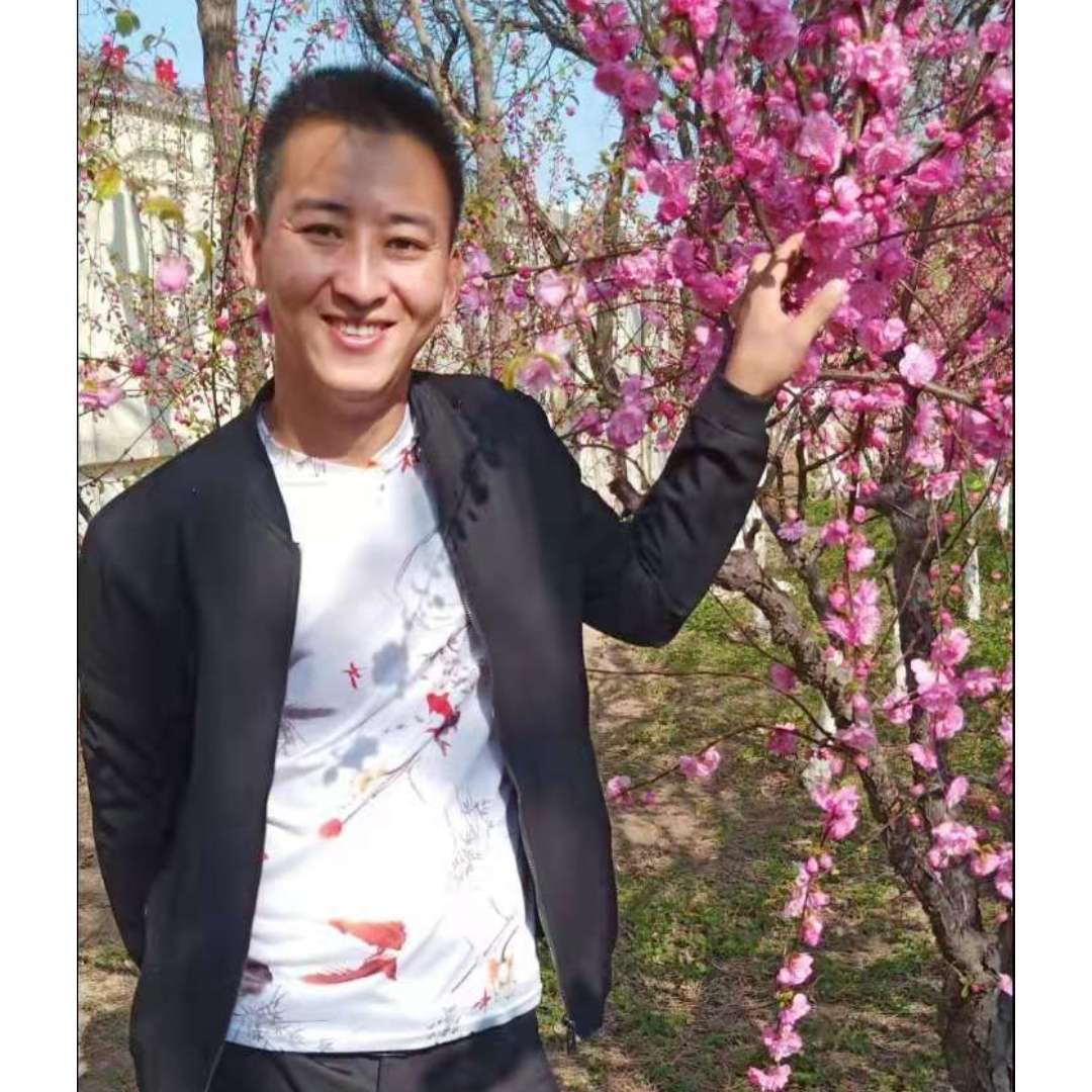 无限爱恋鸡的照片