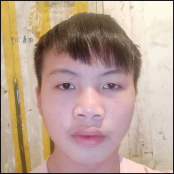 如梦漫步刻苦的照片