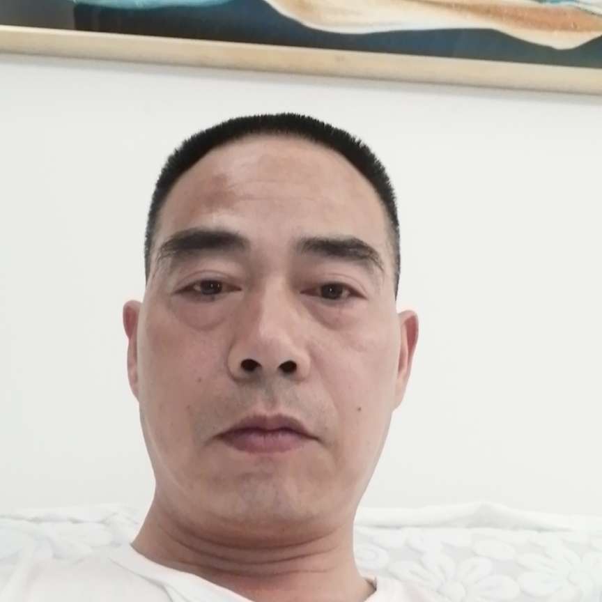 眼睛大請羊的照片