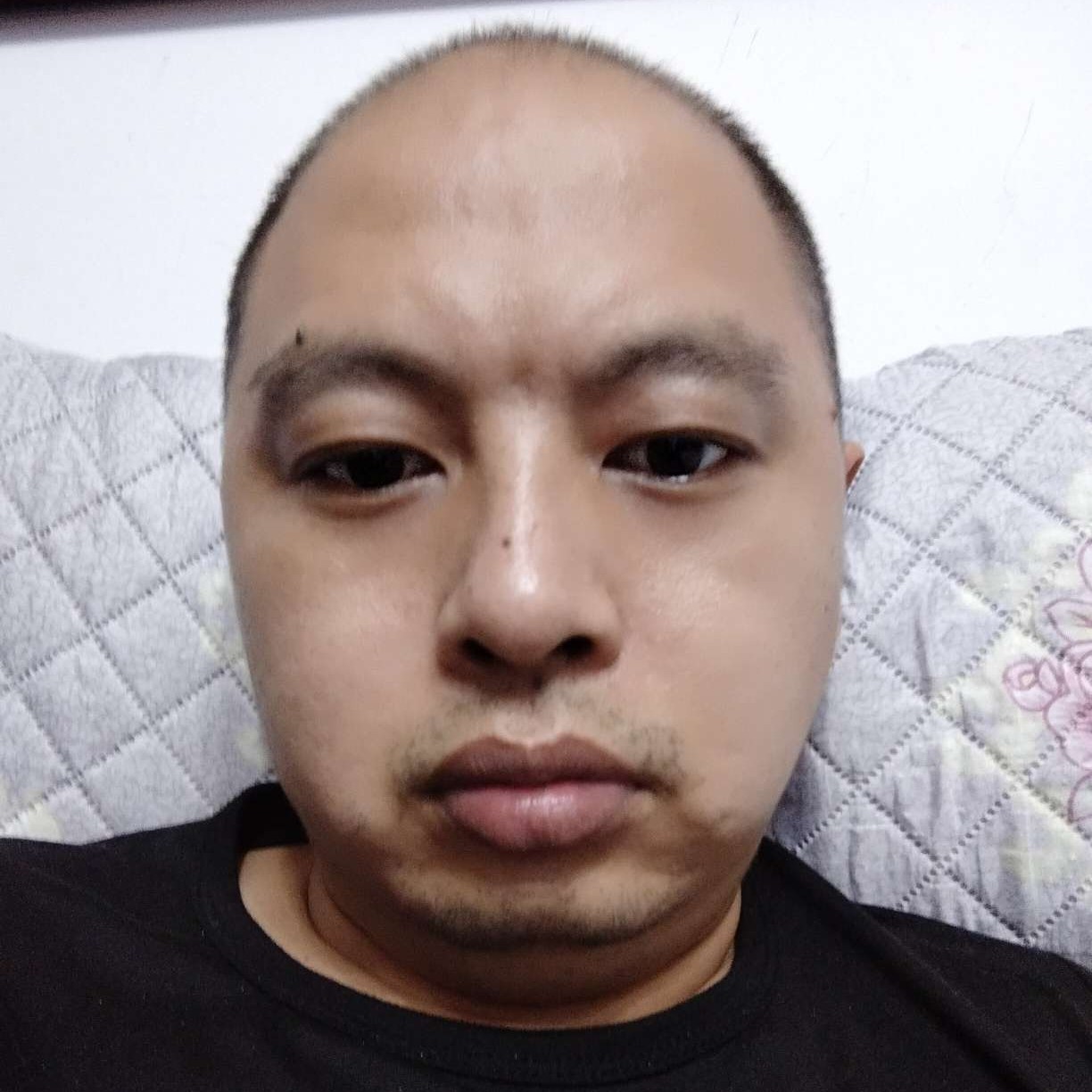 大雁那小巧的照片