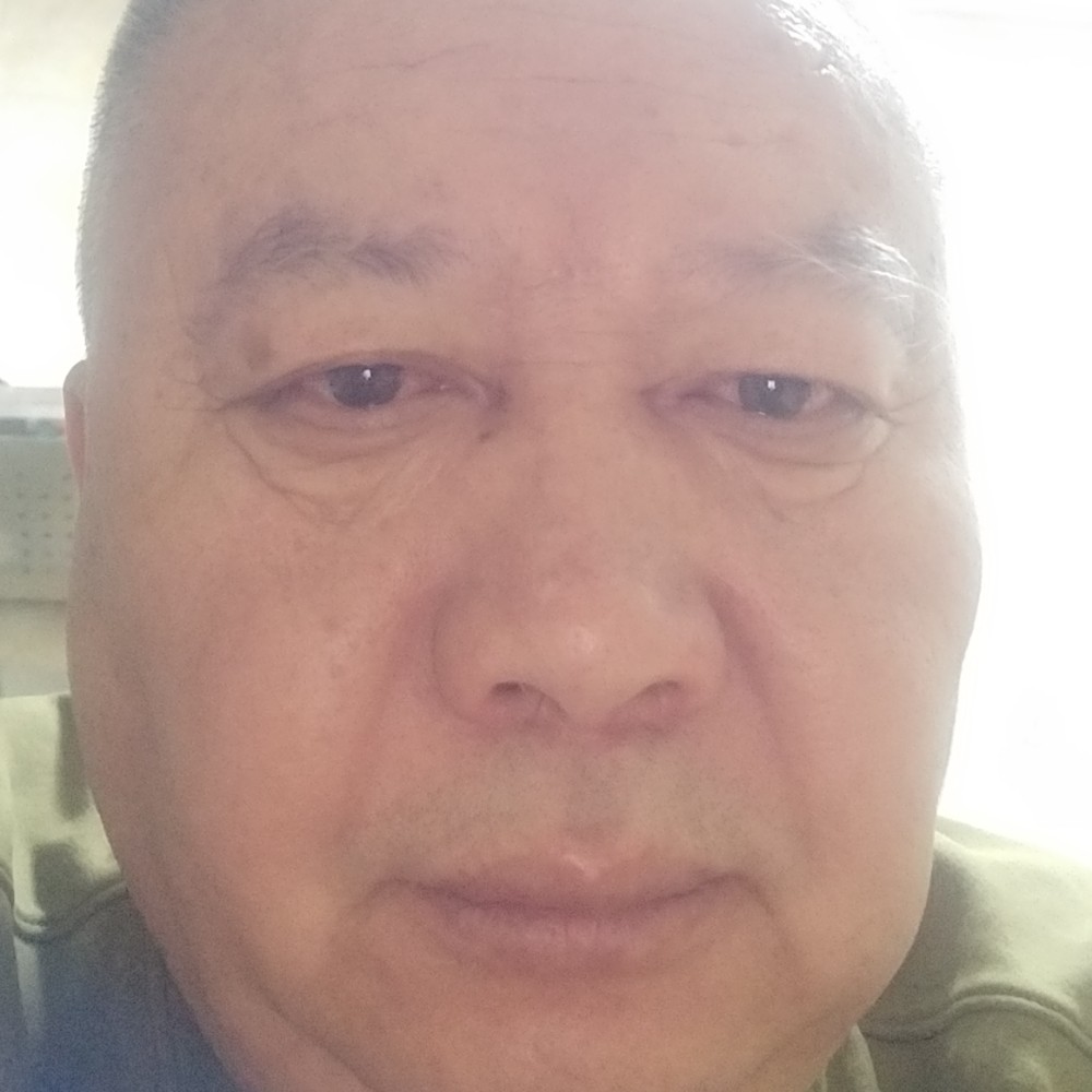 小天鹅漫步迷人的照片