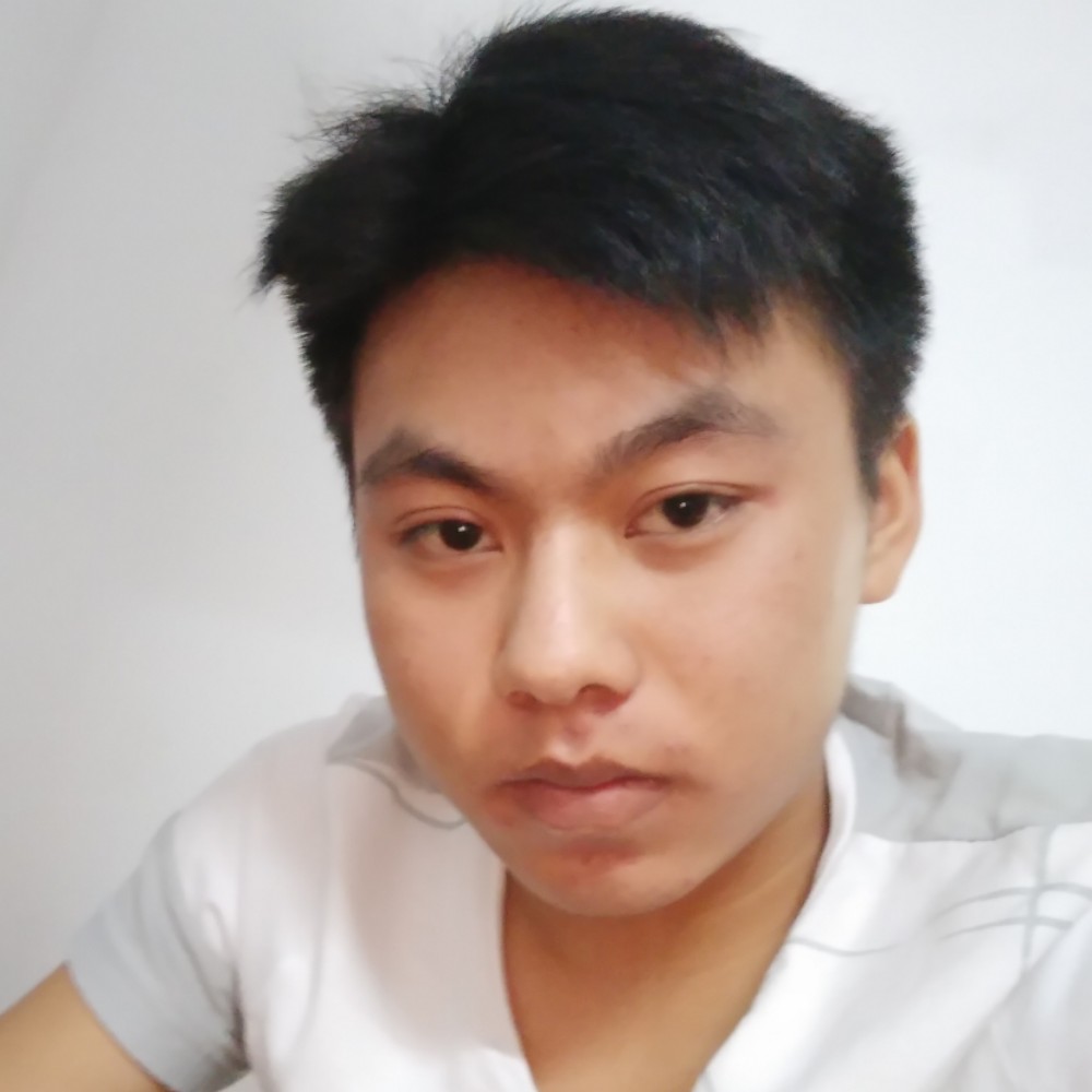 热心狗的照片