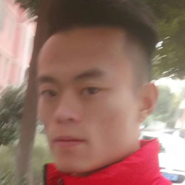 土豆炖蘑菇的照片
