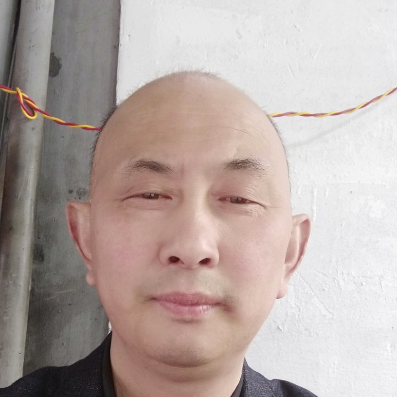 小白菜高挑的照片