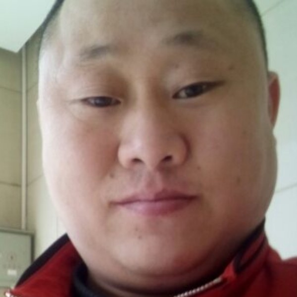 狂野迎黄蜂的照片