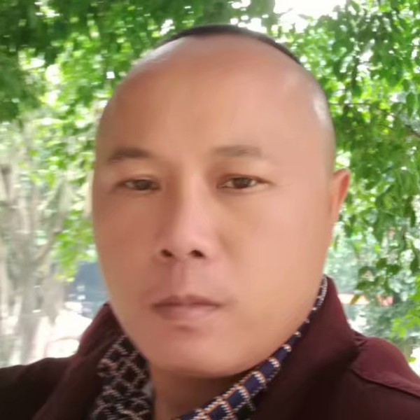 缓慢朋友的照片