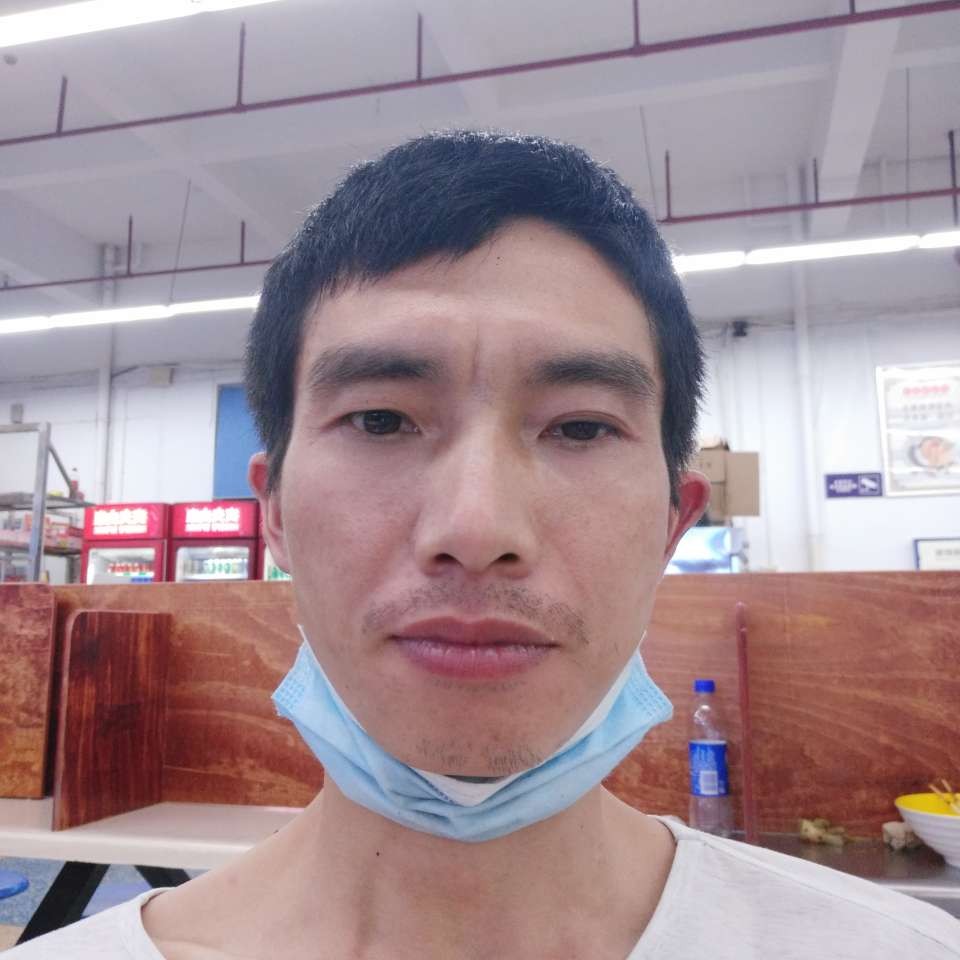 贪玩回眸身影的照片