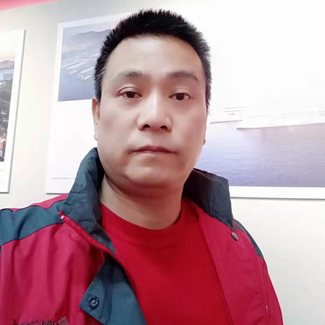着急用小海豚的照片
