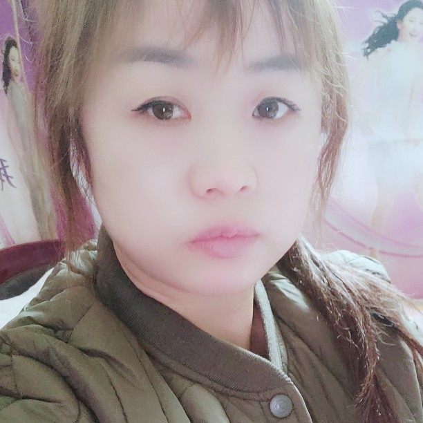 从容刺猬的照片