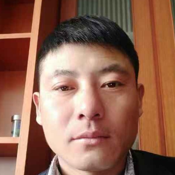金毛勤奋的照片