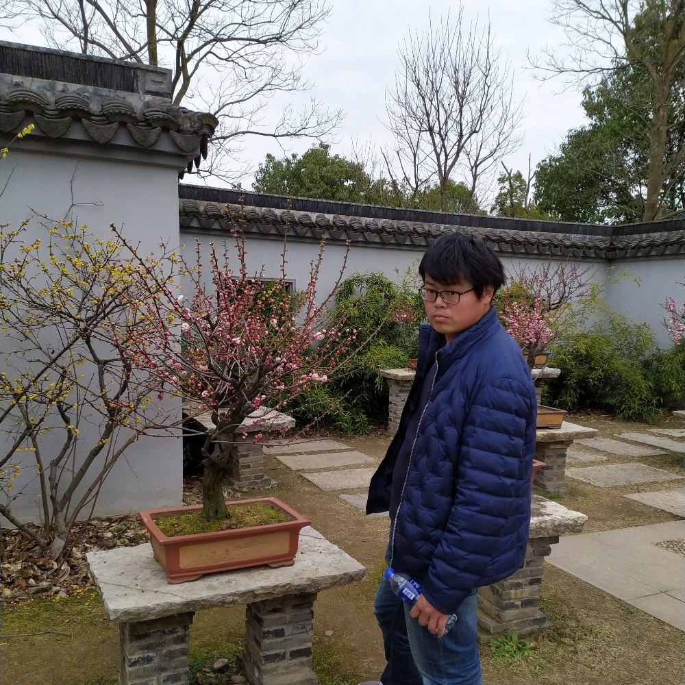 香蕉柠檬开机键的照片