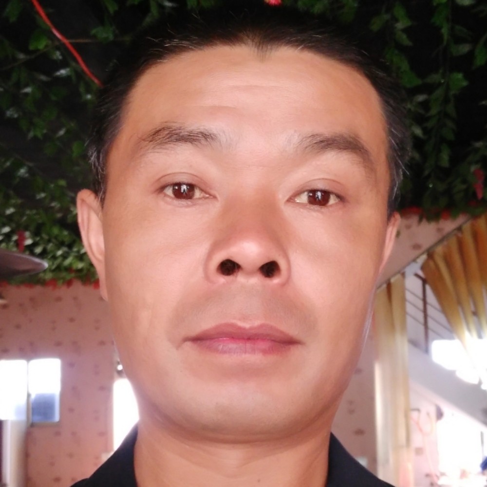 寂冷那花瓣的照片