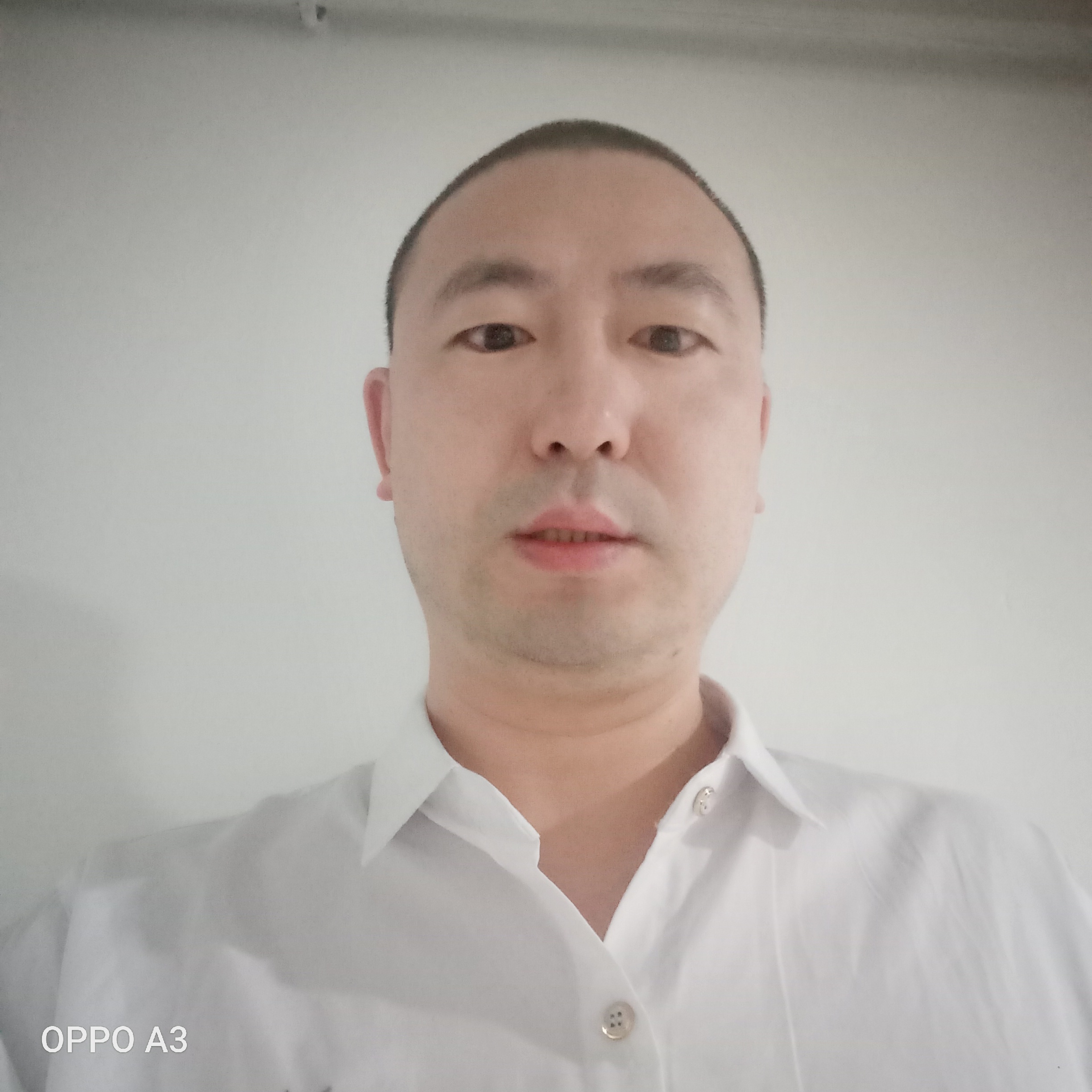 骑着乌龟去赶集的照片