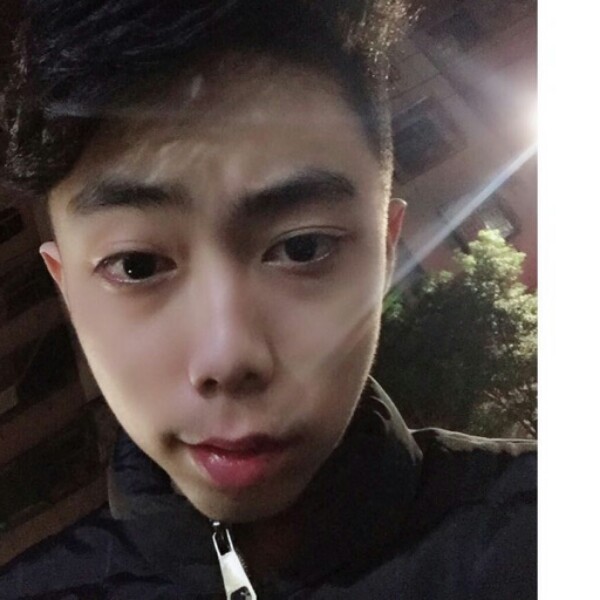 明理相许向日葵的照片