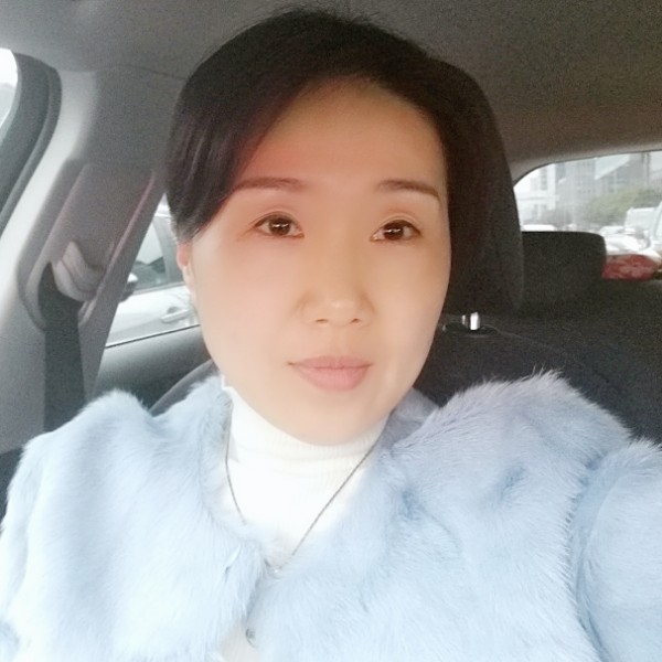 宁静的海岸线的照片