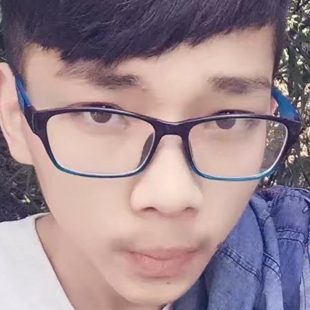 華麗向日葵的照片