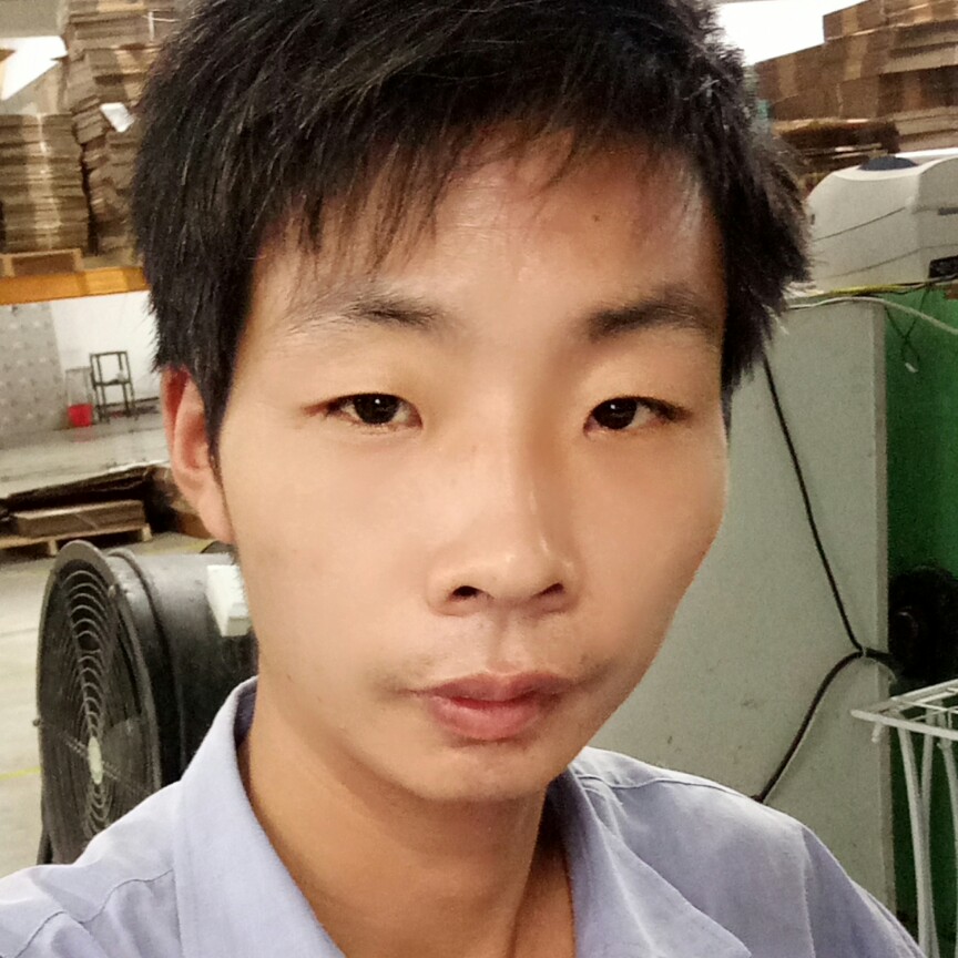 斯文石头的照片