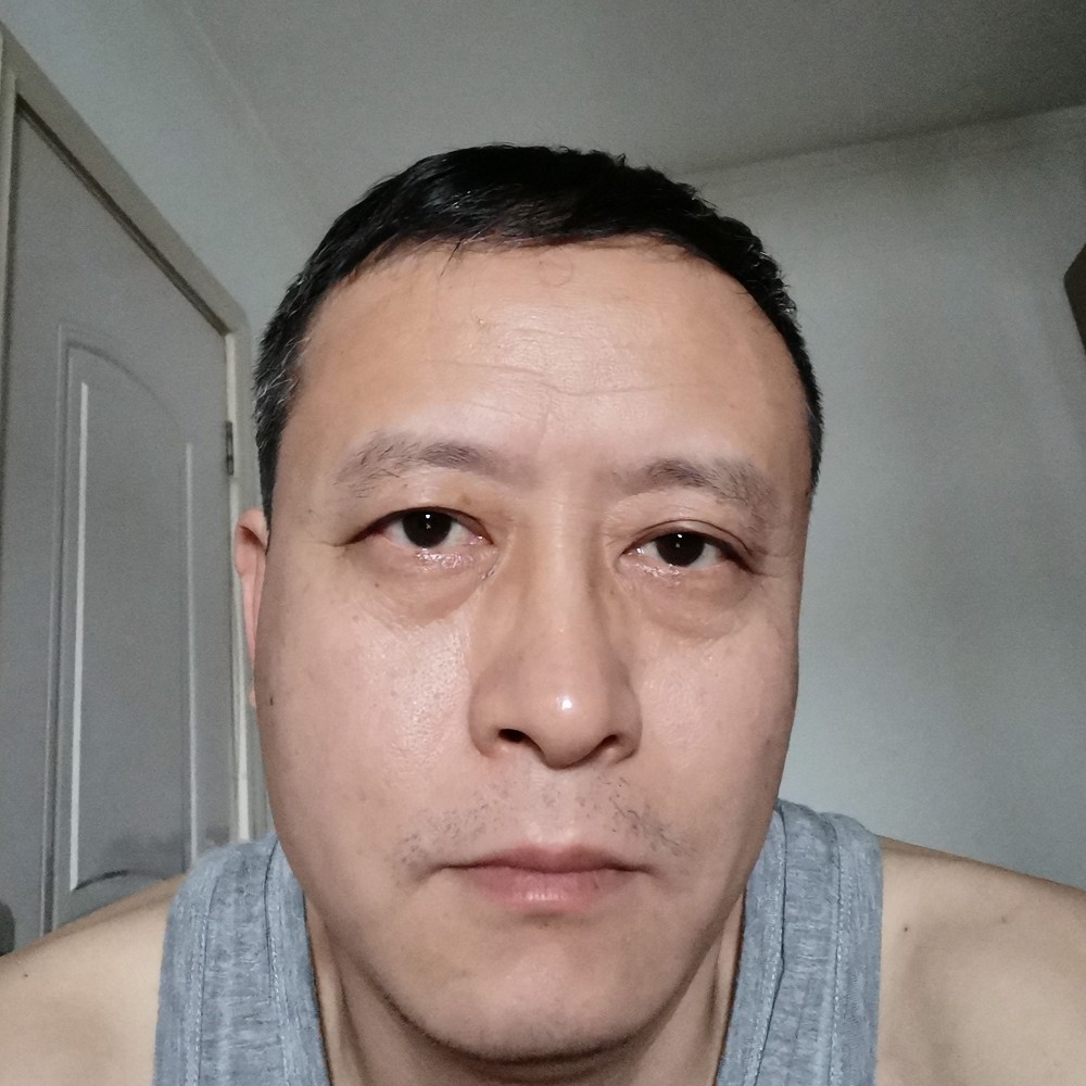 斑马与端庄的照片