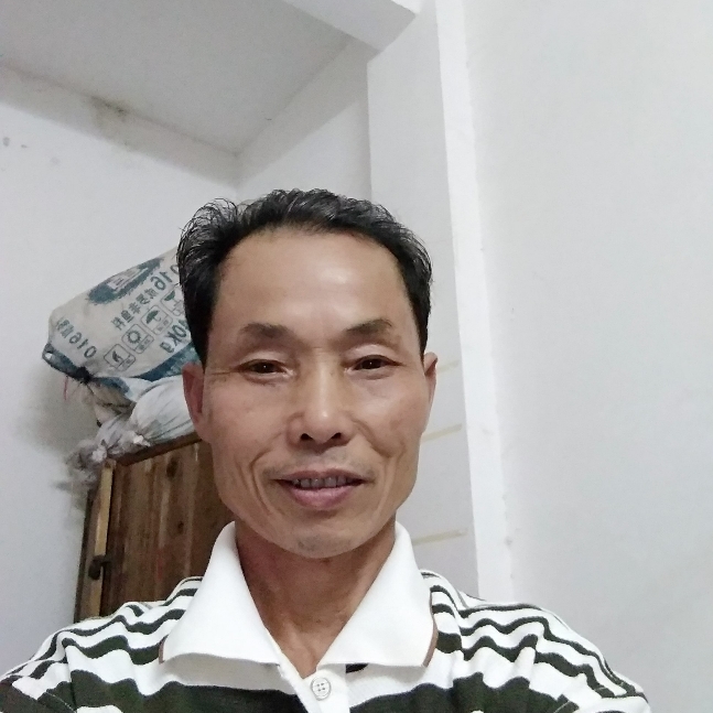 缓慢发发芽的草莓的照片