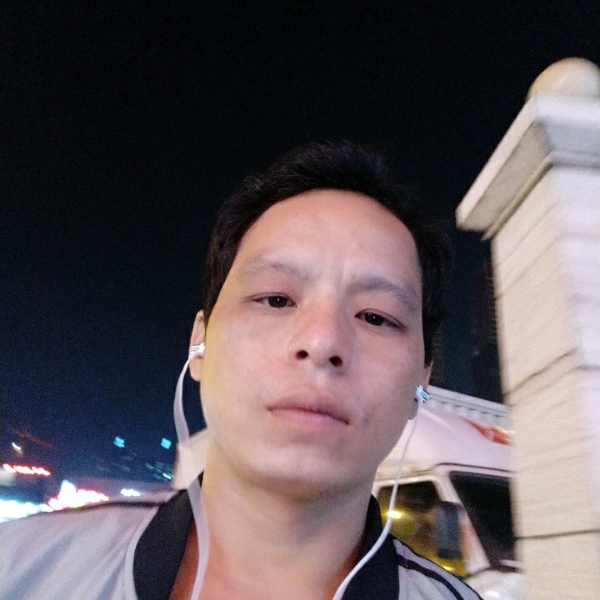 路上的羔羊的照片