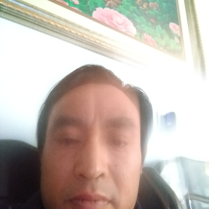 钢笔蹁跹搞怪的照片