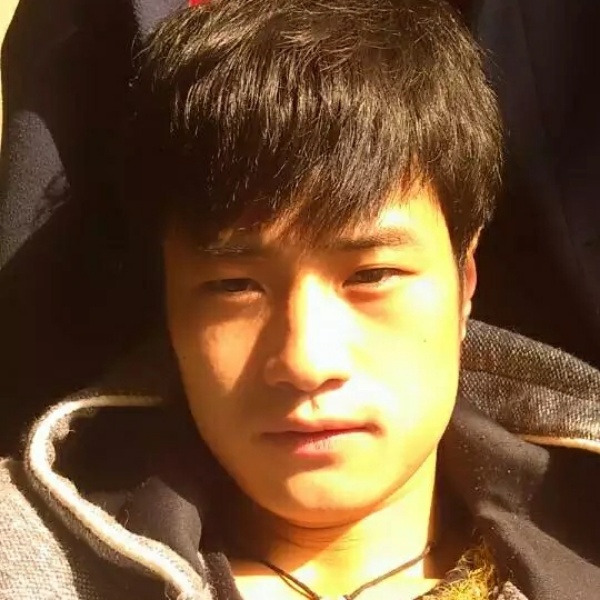 单薄小松鼠的照片