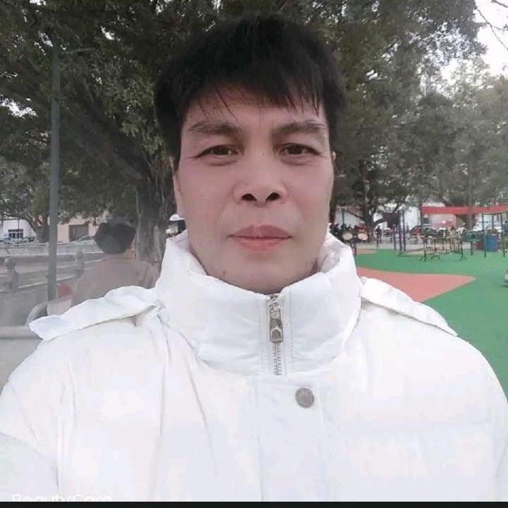 泥猴桃知性的照片