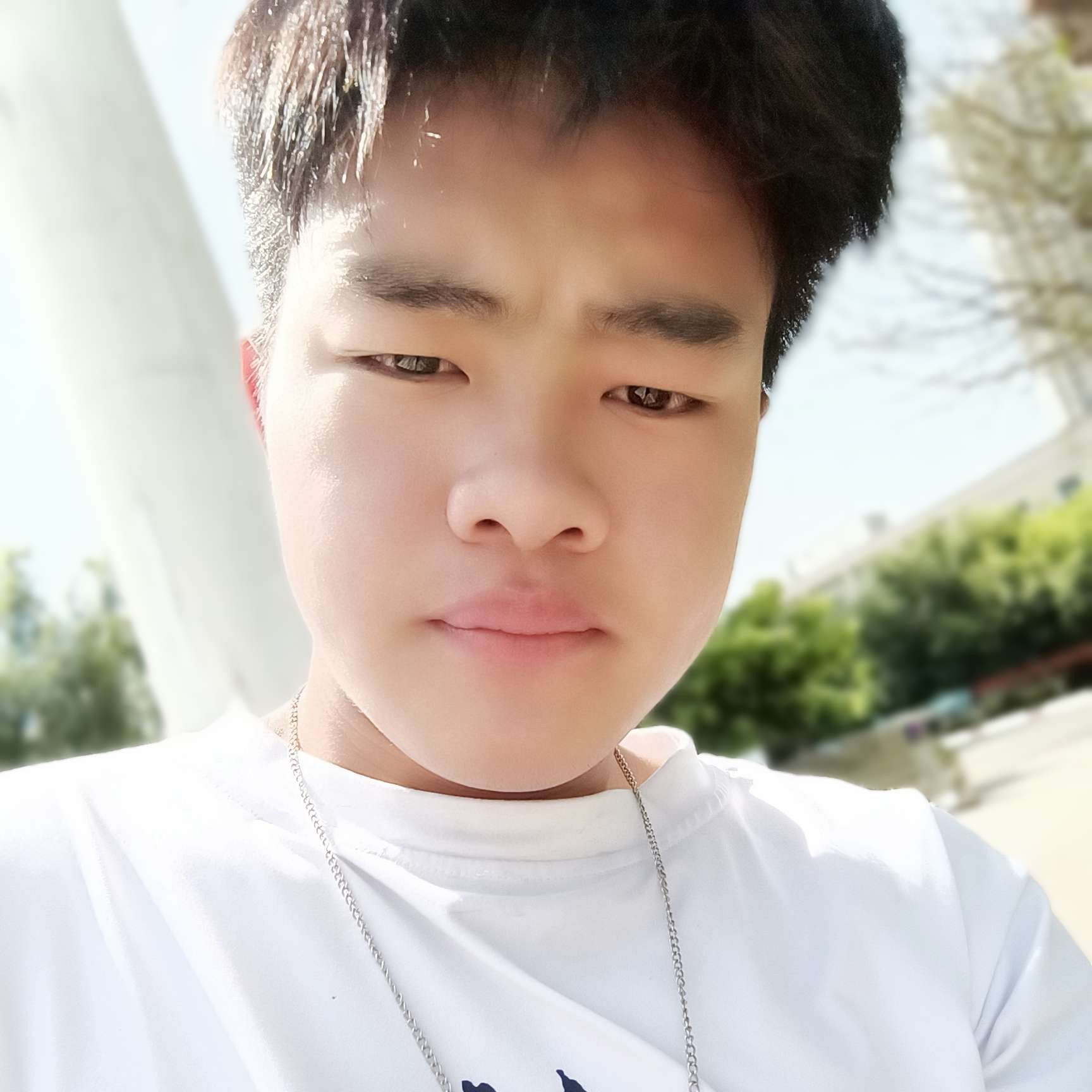 爱意随风而逝的照片