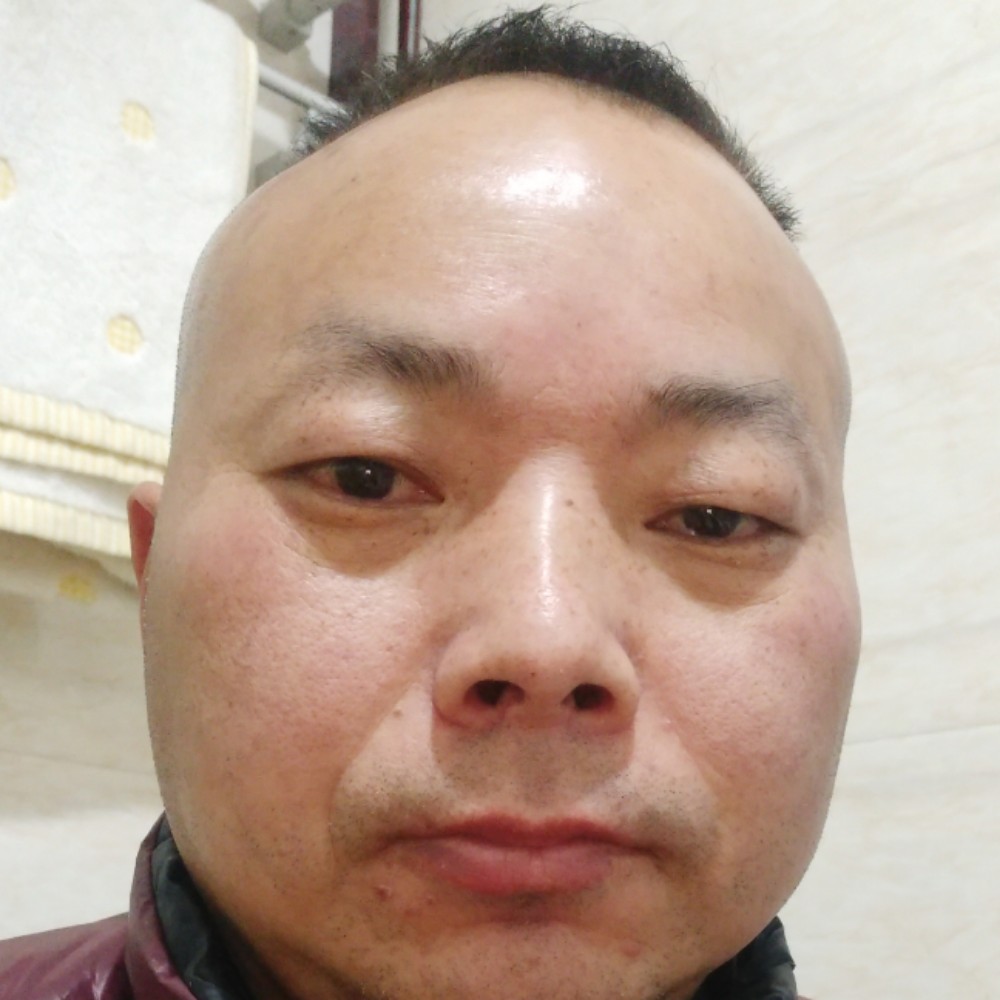 顺心放弃黄蜂的照片