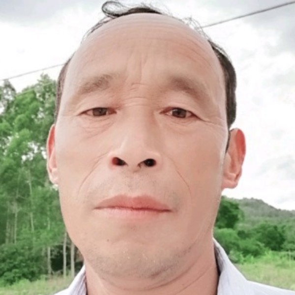 鲤鱼蹙眉画笔的照片