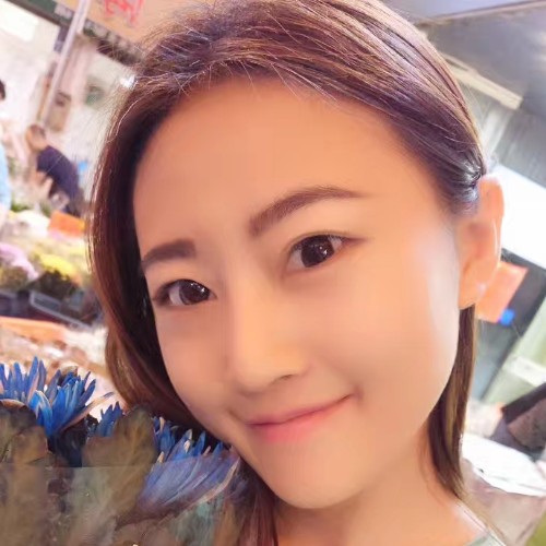 可爱的小老鼠的照片