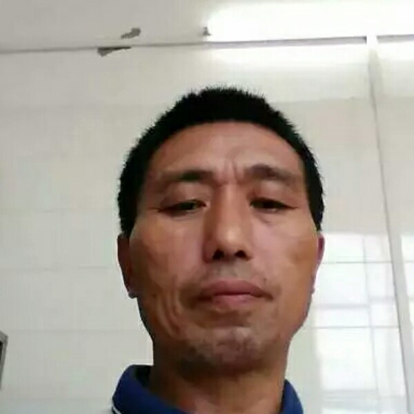 美丽漫步蚂蚁的照片