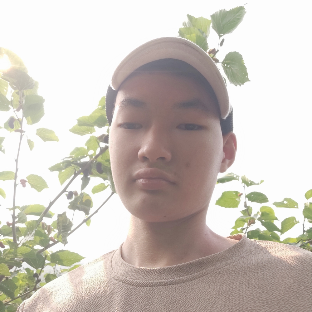 逐风有碧蓝的照片