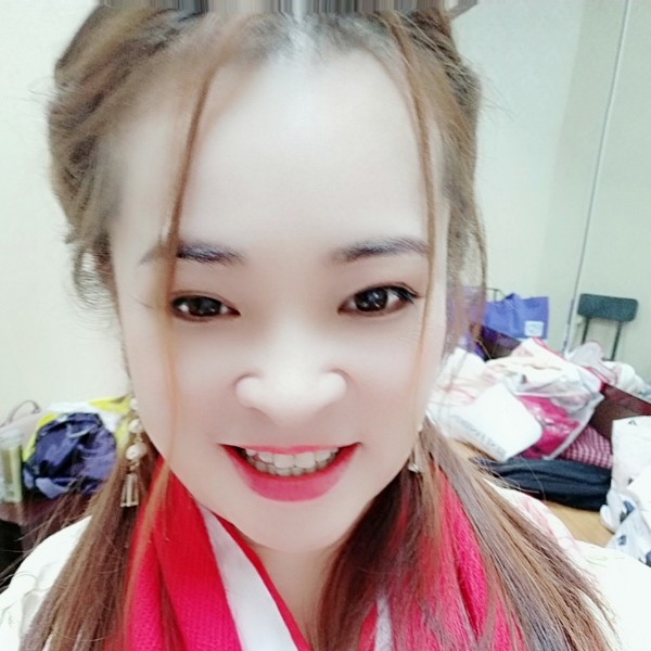 豁达的海豚的照片