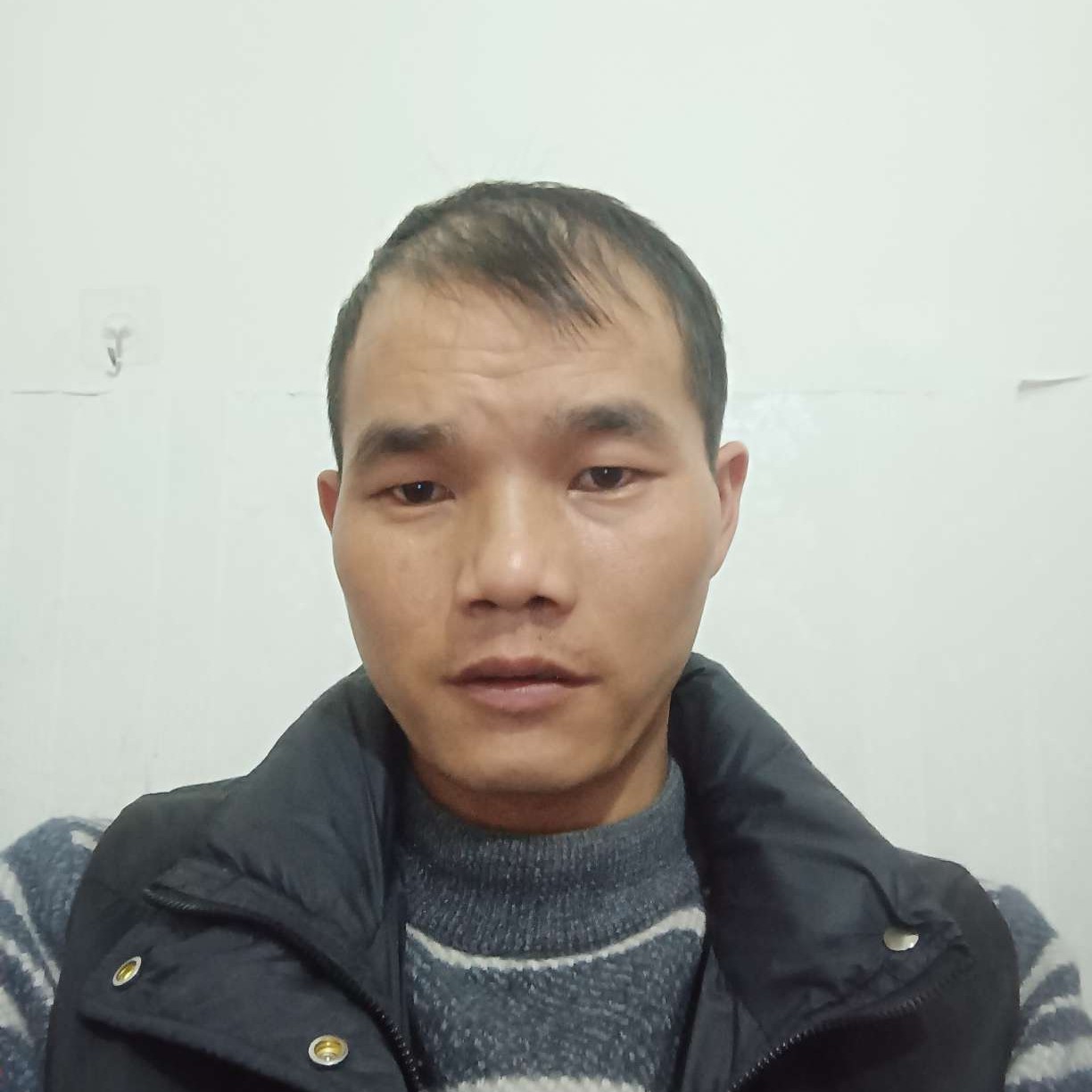 眉目清的照片