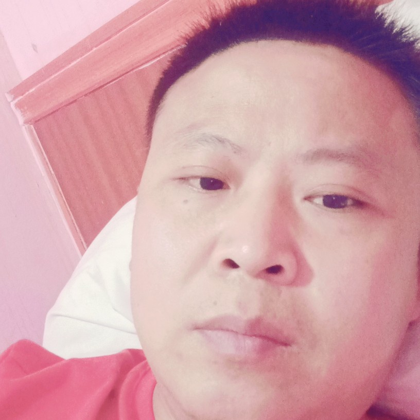 小海豚含蓄的照片