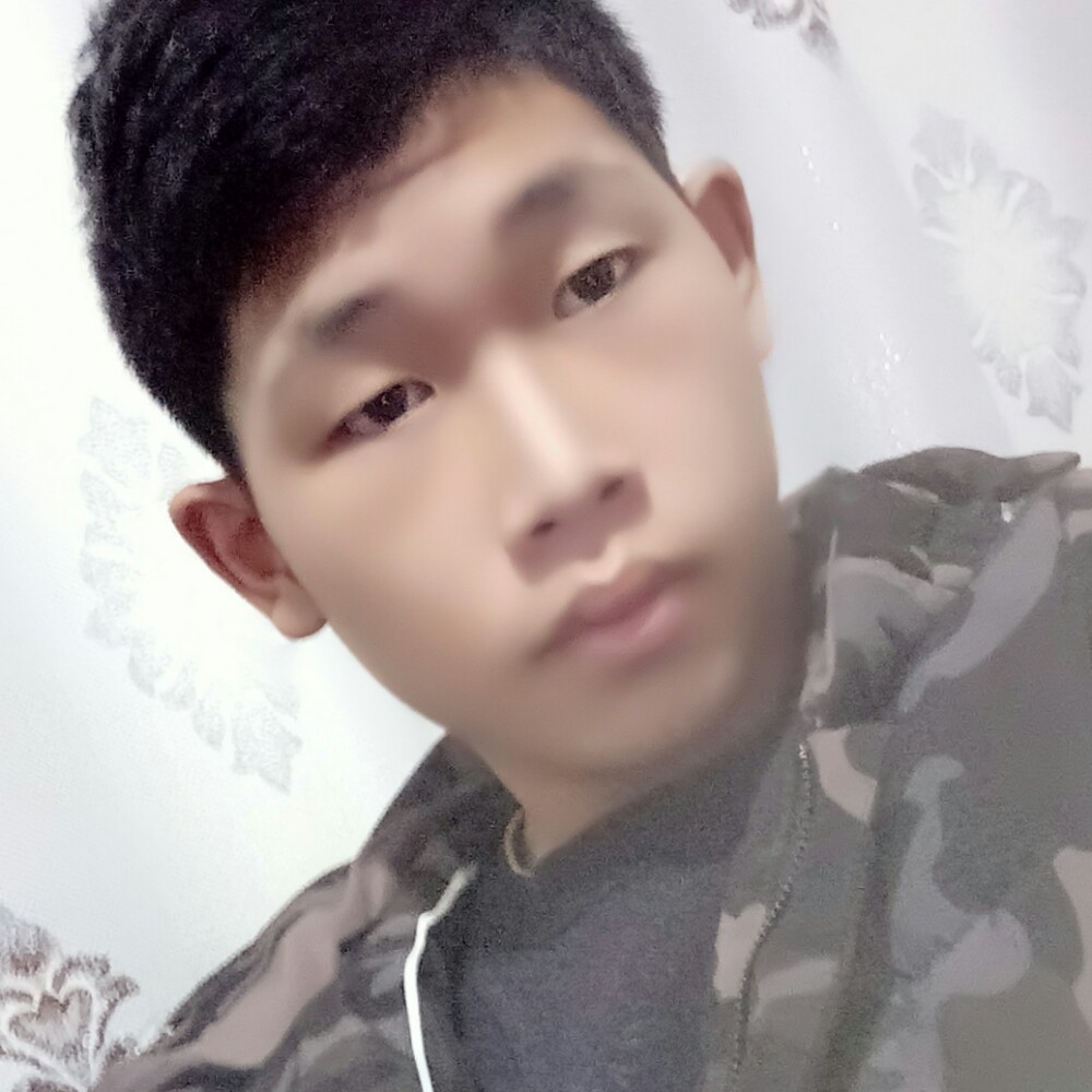 高挑斑马的照片