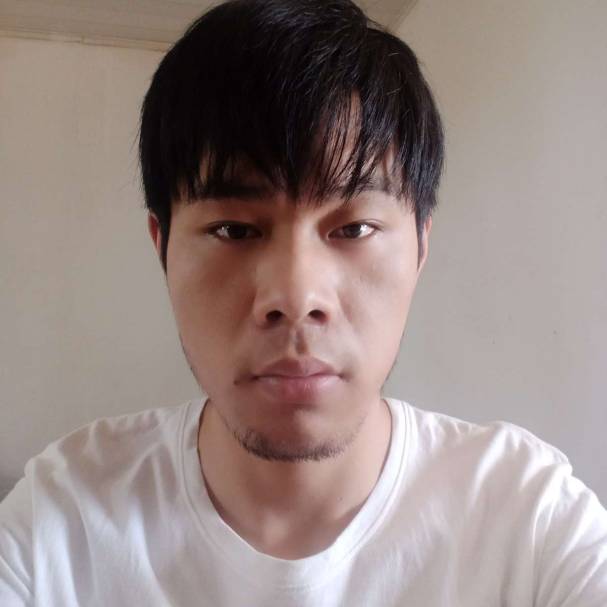 晨曦初阳的照片