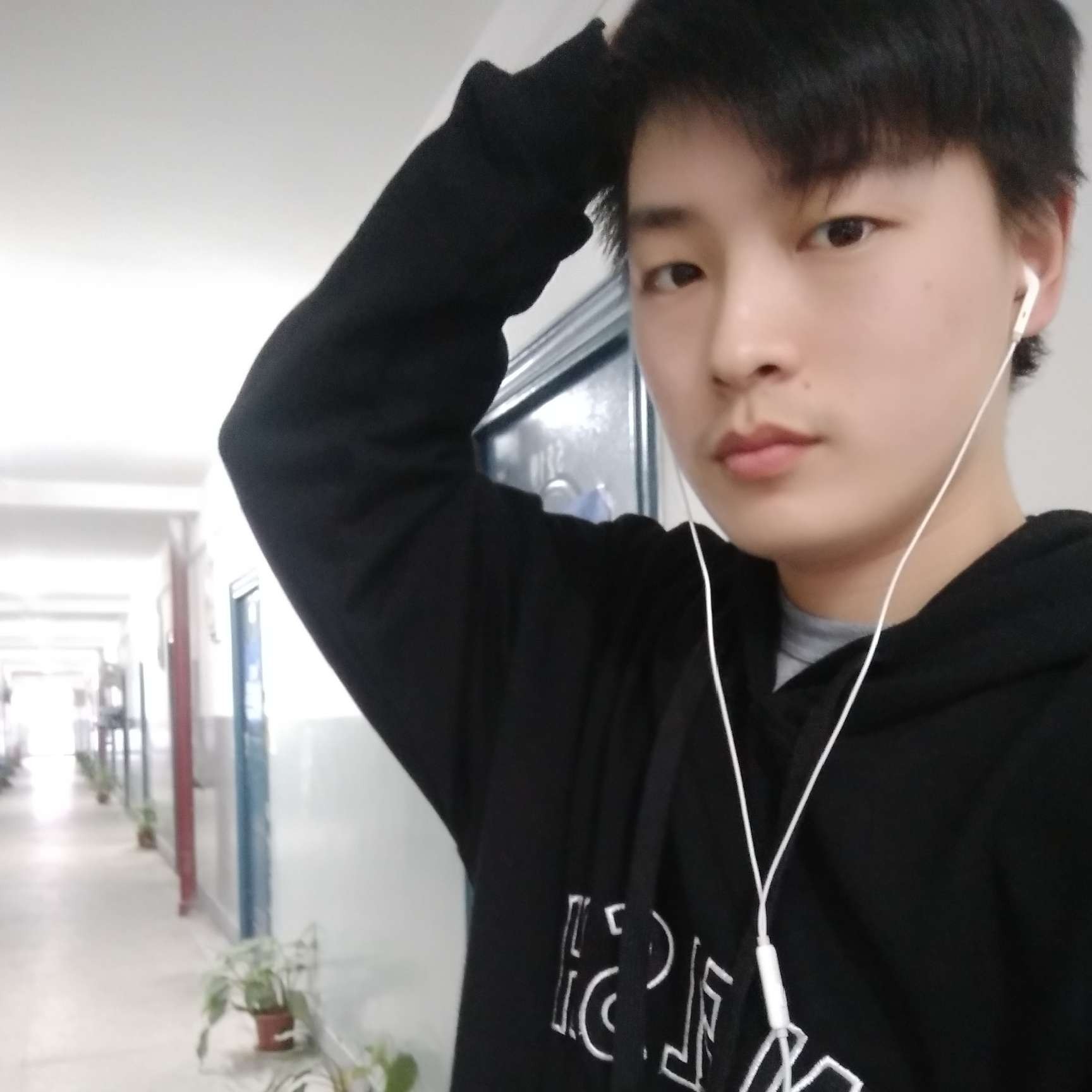 夜与萤火虫的照片