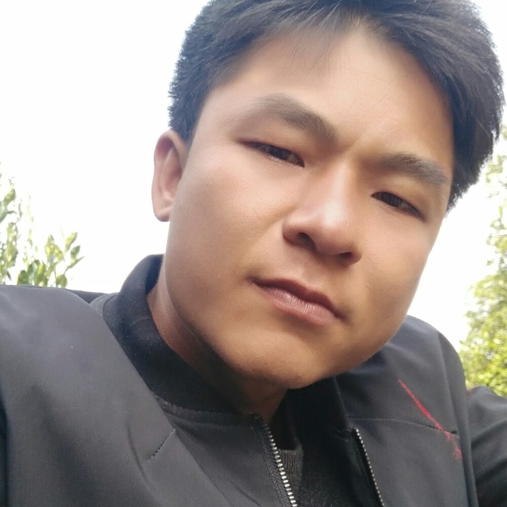 不解的愿曲奇的照片